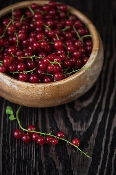 Fresh red currants — Stock Photo, Image