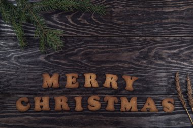 Farklı zencefilli kurabiye