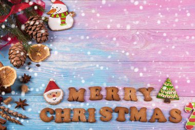 Farklı zencefilli kurabiye