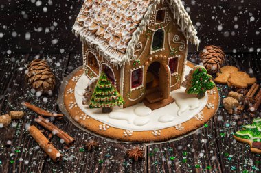 Farklı zencefilli kurabiye