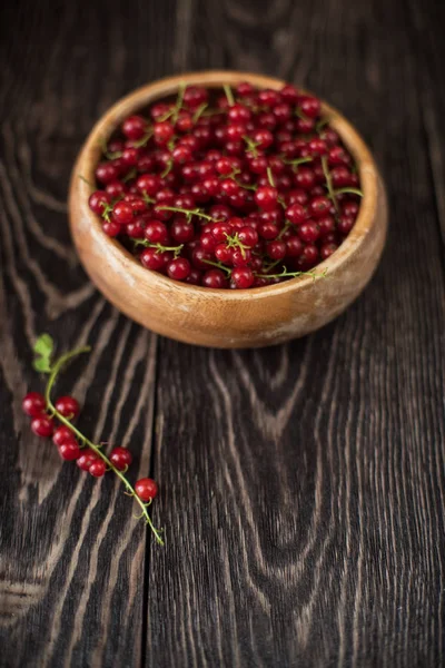 Fresh red currants — Stock Photo, Image