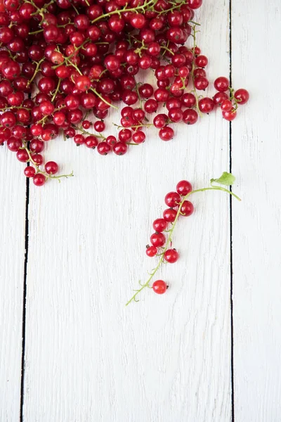 Fresh red currants — Stock Photo, Image