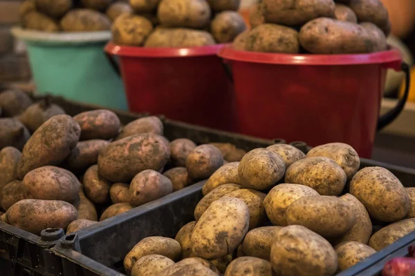 Aardappel op Marketplace — Stockfoto