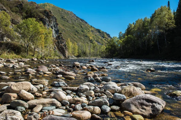 Altay nehirde hızlı dağ — Stok fotoğraf