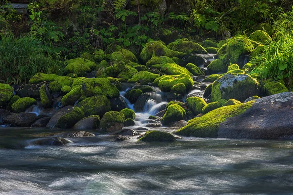 Fiume di montagna veloce in Altay — Foto Stock