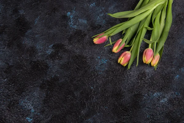 Tulpen op donkere betonnen ondergrond — Stockfoto