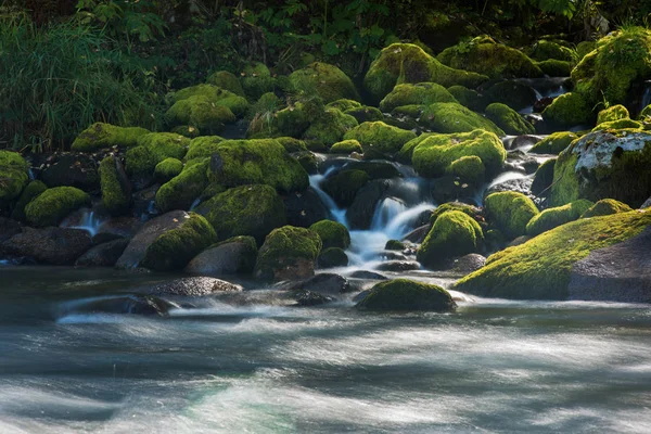 Fiume di montagna veloce in Altay — Foto Stock