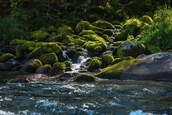 Rychlá horská řeka v pohoří Altaj — Stock fotografie