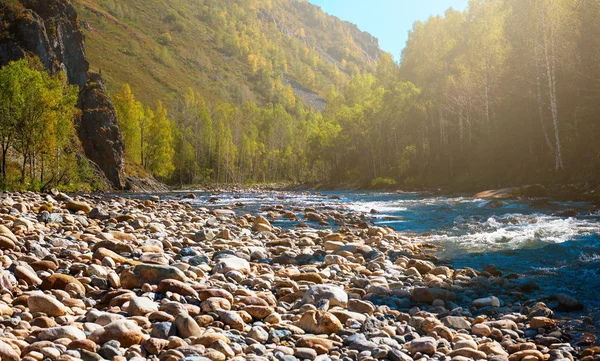 Altay nehirde hızlı dağ — Stok fotoğraf