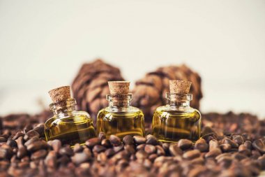 Sedir fındık yağı