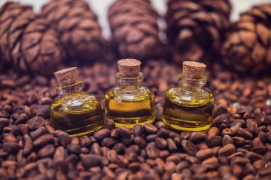 Sedir fındık yağı