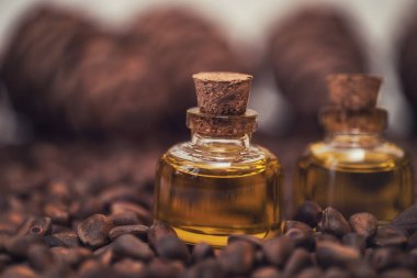 Sedir fındık yağı