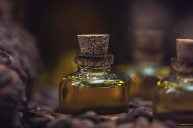 Sedir fındık yağı