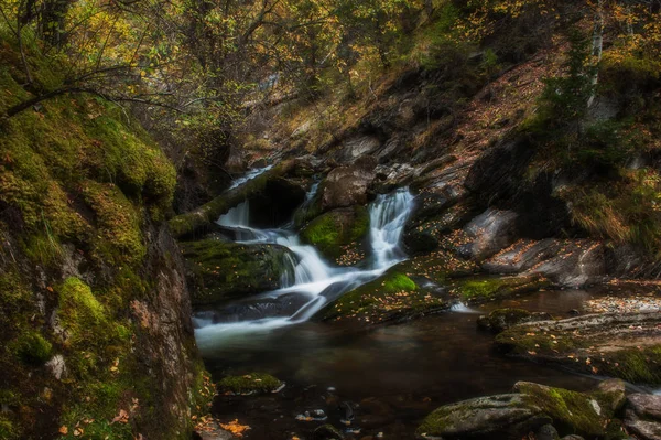 Cascade sur la rivière Shinok — Photo