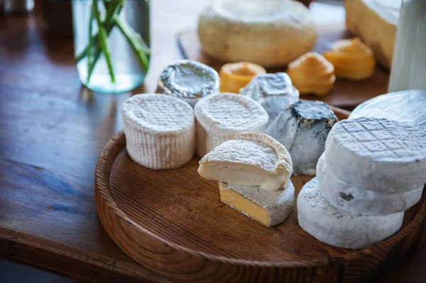 Set van verschillende kaas — Stockfoto