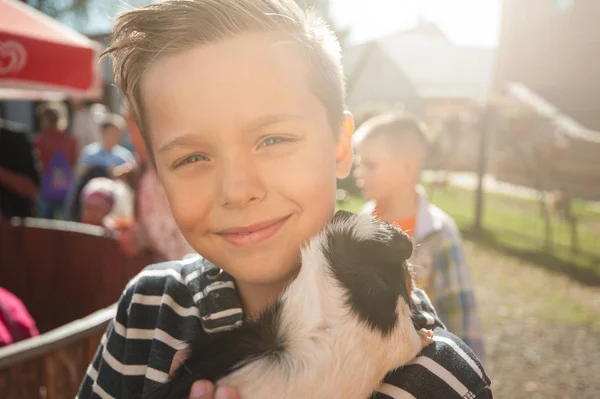 Felice sorridente ragazzo con cavy — Foto Stock