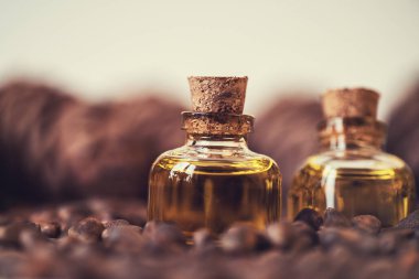 Sedir fındık yağı