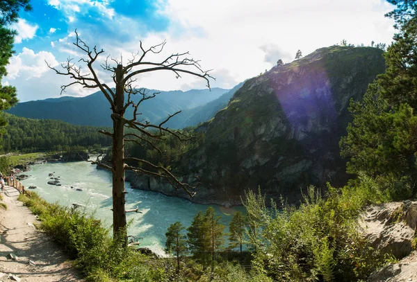 Nehir Katun dağda güneşli bir günde — Stok fotoğraf