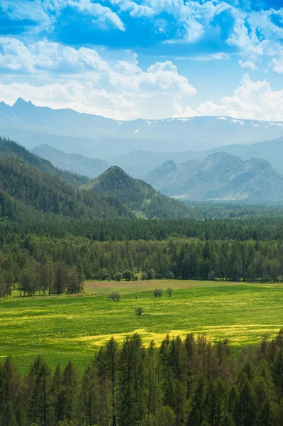 Belleza colores del verano Altai — Foto de Stock