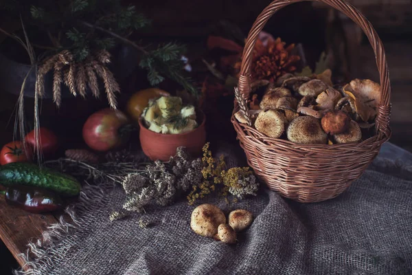 Autumn nature gifts — Stock Photo, Image