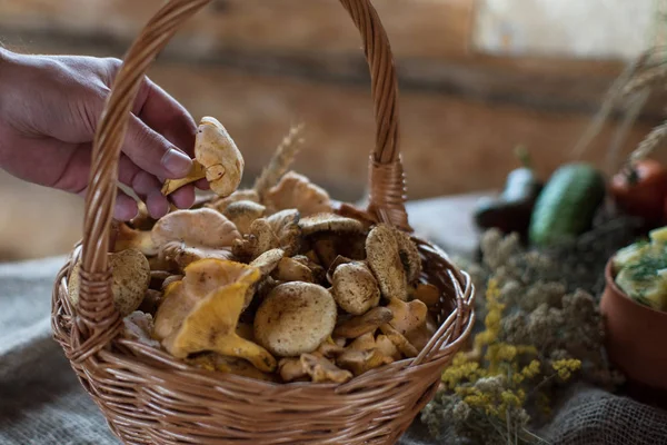 Различные грибы в корзине — стоковое фото