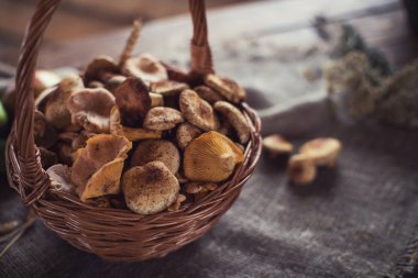 Sepet içinde farklı mantar