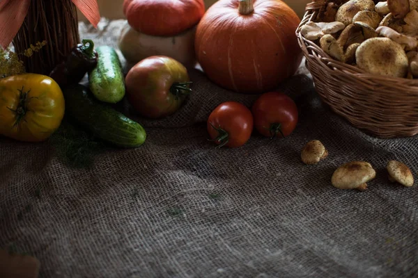 Regalos de otoño naturaleza — Foto de Stock