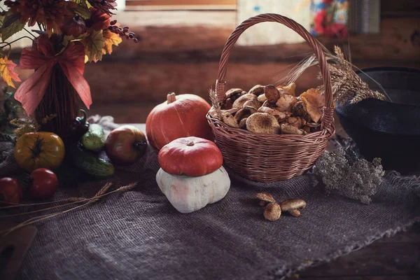 De giften van de aard van de herfst — Stockfoto