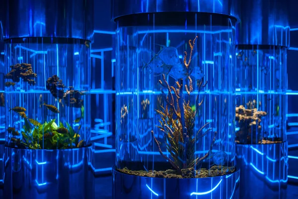 Oceanarium interiör foto — Stockfoto