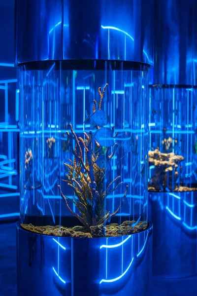 Oceanarium iç fotoğraf
