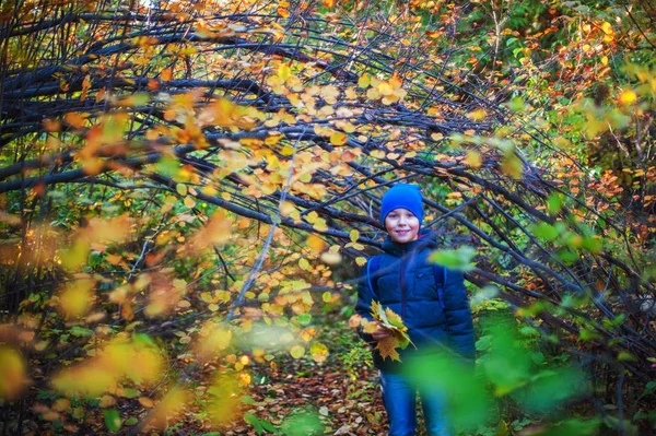 Schoonheid jongen in herfst park — Stockfoto