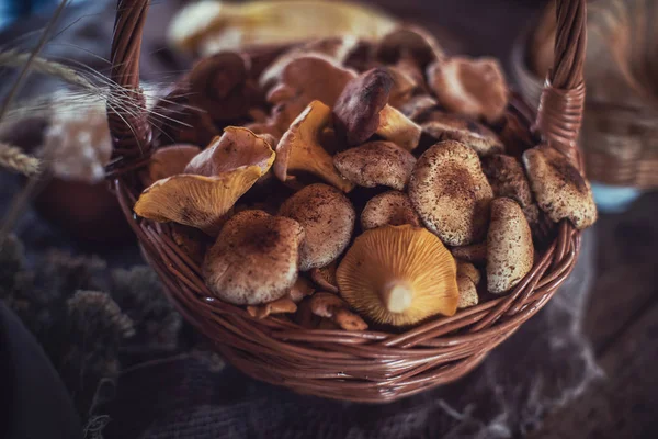 Different mushrooms in basket — Stock Photo, Image