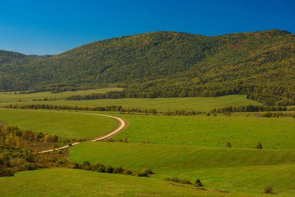 Weg bij het Altajgebergte — Stockfoto