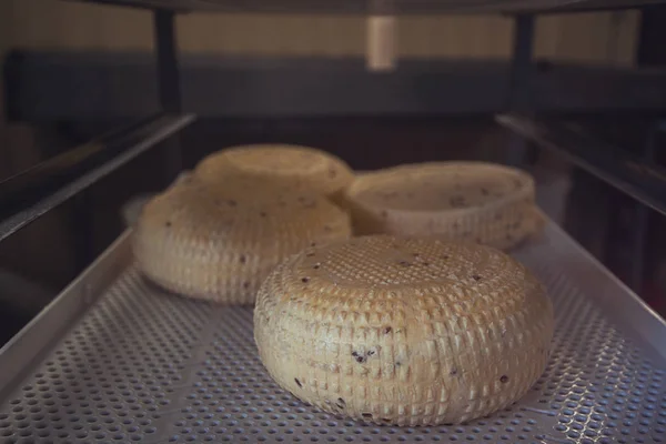 Envelhecimento cabeças de queijo — Fotografia de Stock