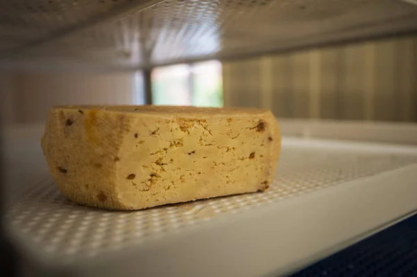 Envelhecimento cabeças de queijo — Fotografia de Stock