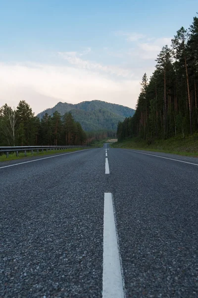 Szépség road M52 nevezett Chuiskiy trakt — Stock Fotó