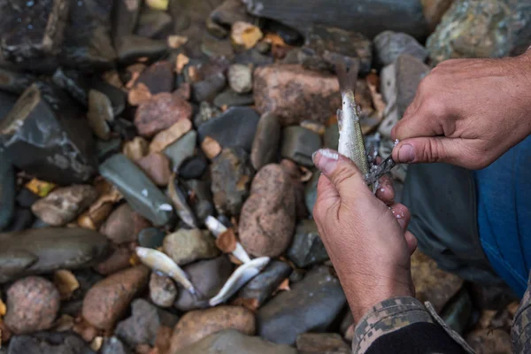 Pescador peixe de limpeza — Fotografia de Stock