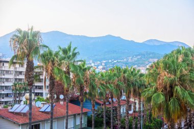 Alanya sabah, Türkiye
