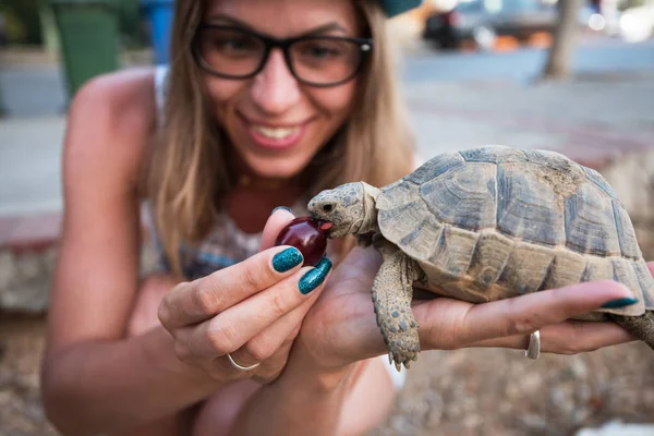 Nő, turtle etetés — Stock Fotó