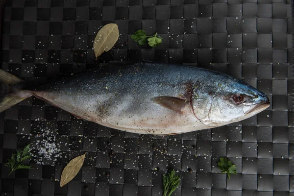 Färsk tonfisk — Stockfoto