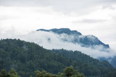 Ormanlık dağ yamacı