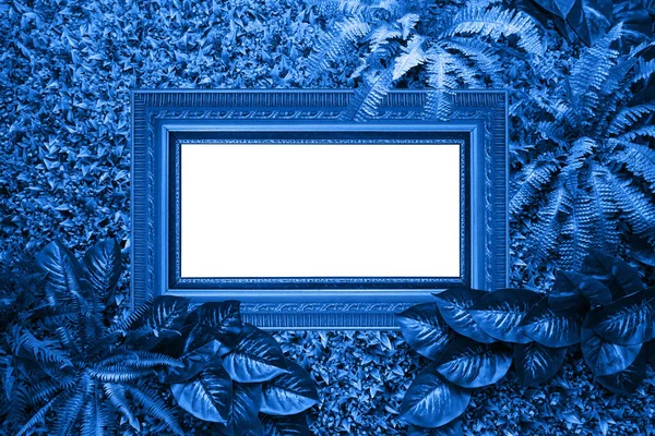 잎에서 나오는 전형적 인 파란색 배경 — 스톡 사진