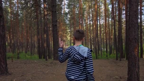 Egy fiú fut az erdőben. — Stock videók