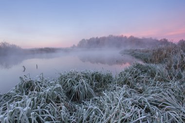 Frost'un soğuk sonbahar sabahı çim üzerinde