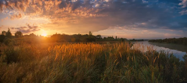 Wiese und Fluss von der Sonne erleuchtet — Stockfoto