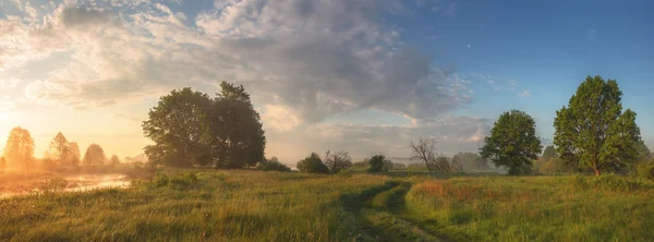 Sommerliche Morgenlandschaft — Stockfoto