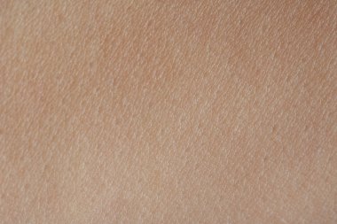 Makro doku insan deri