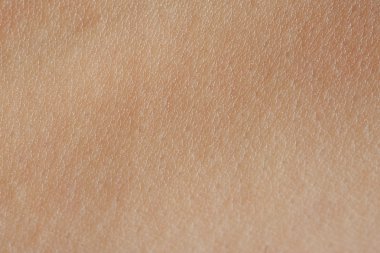 insan derisi hücrelerdeyse