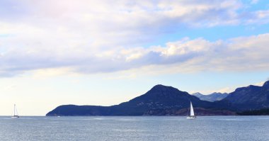 Bay Beyaz yelkenli tekneler