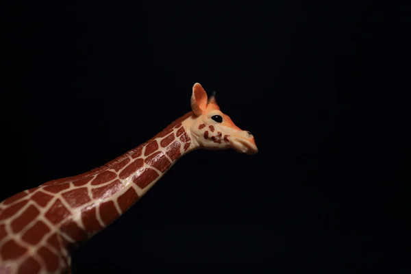 Long cou de girafe jouet isolé sur noir — Photo